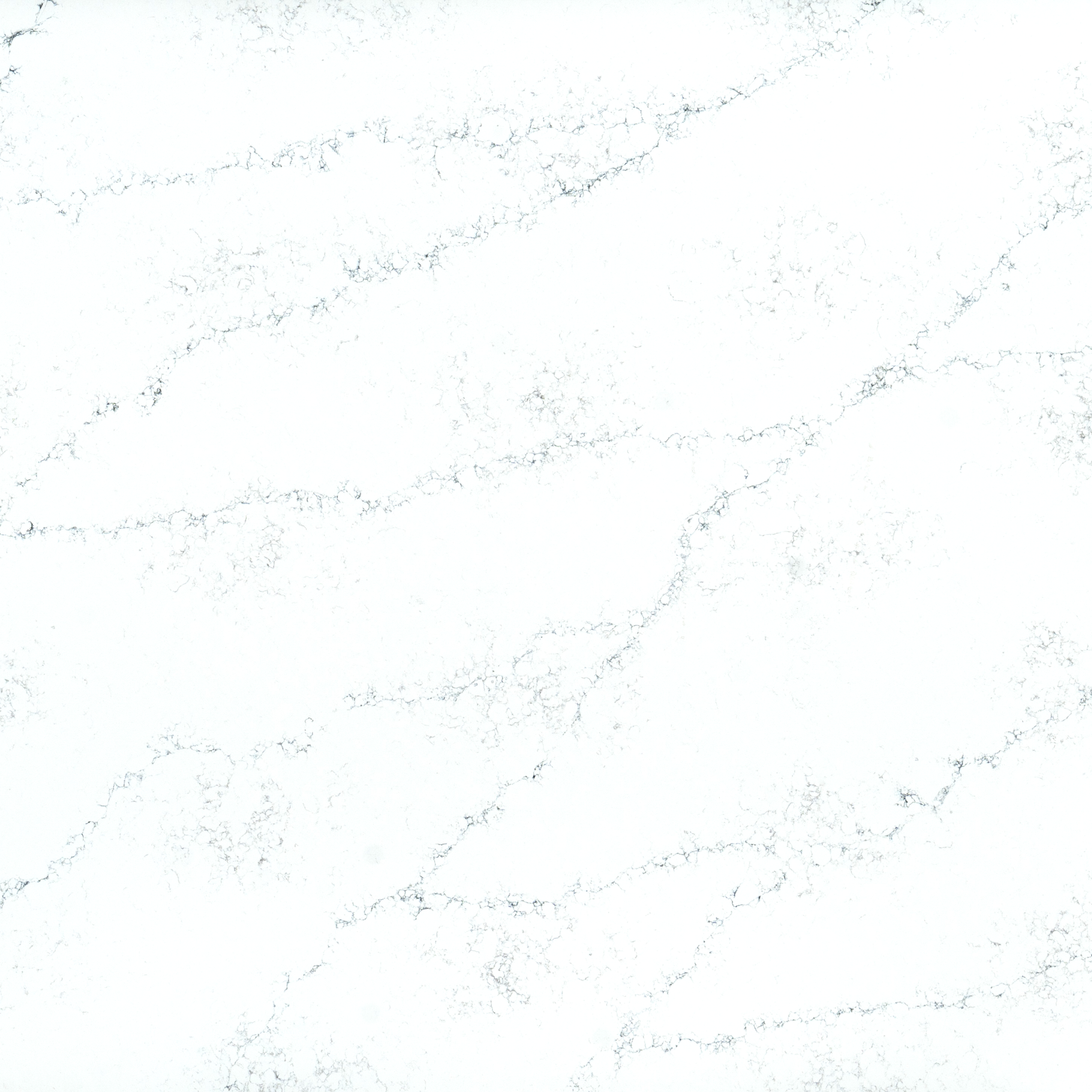 NIMBUS WHITE QUARTZ