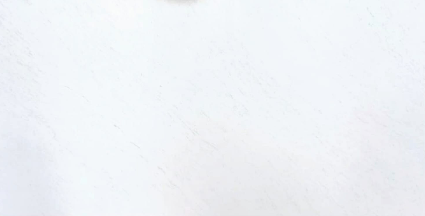CALACATTA RHINO QUARTZ